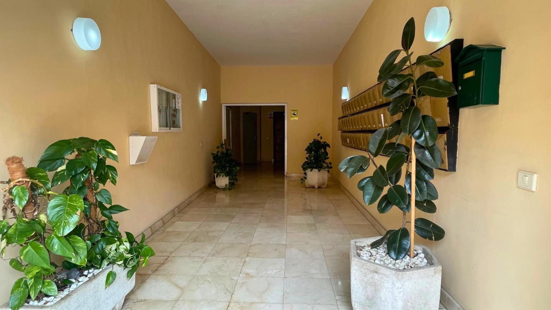 Markethome Jardines Del Mar Pool View Puerto de Santiago  Eksteriør billede